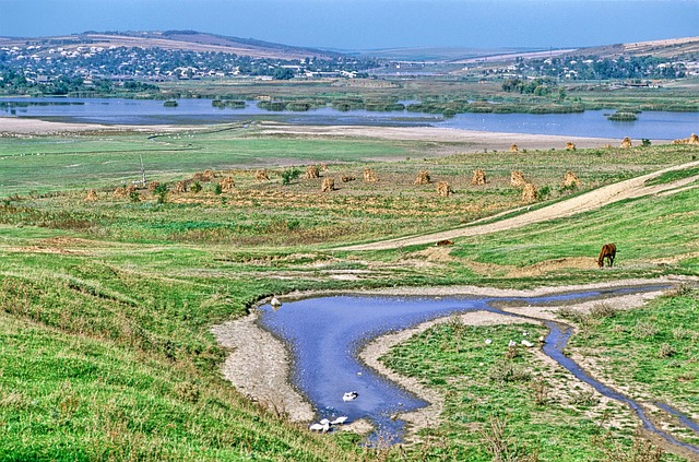 příroda