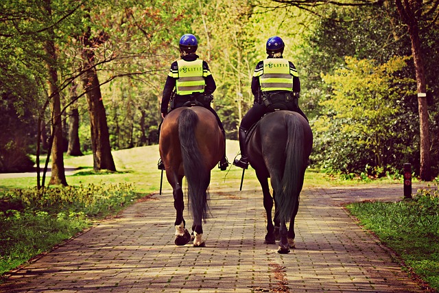 jízdní policie.jpg